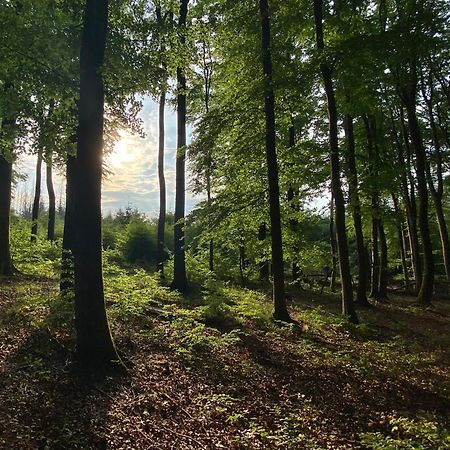 Fruehstueckspension Zur Krone Bad Endbach Kültér fotó