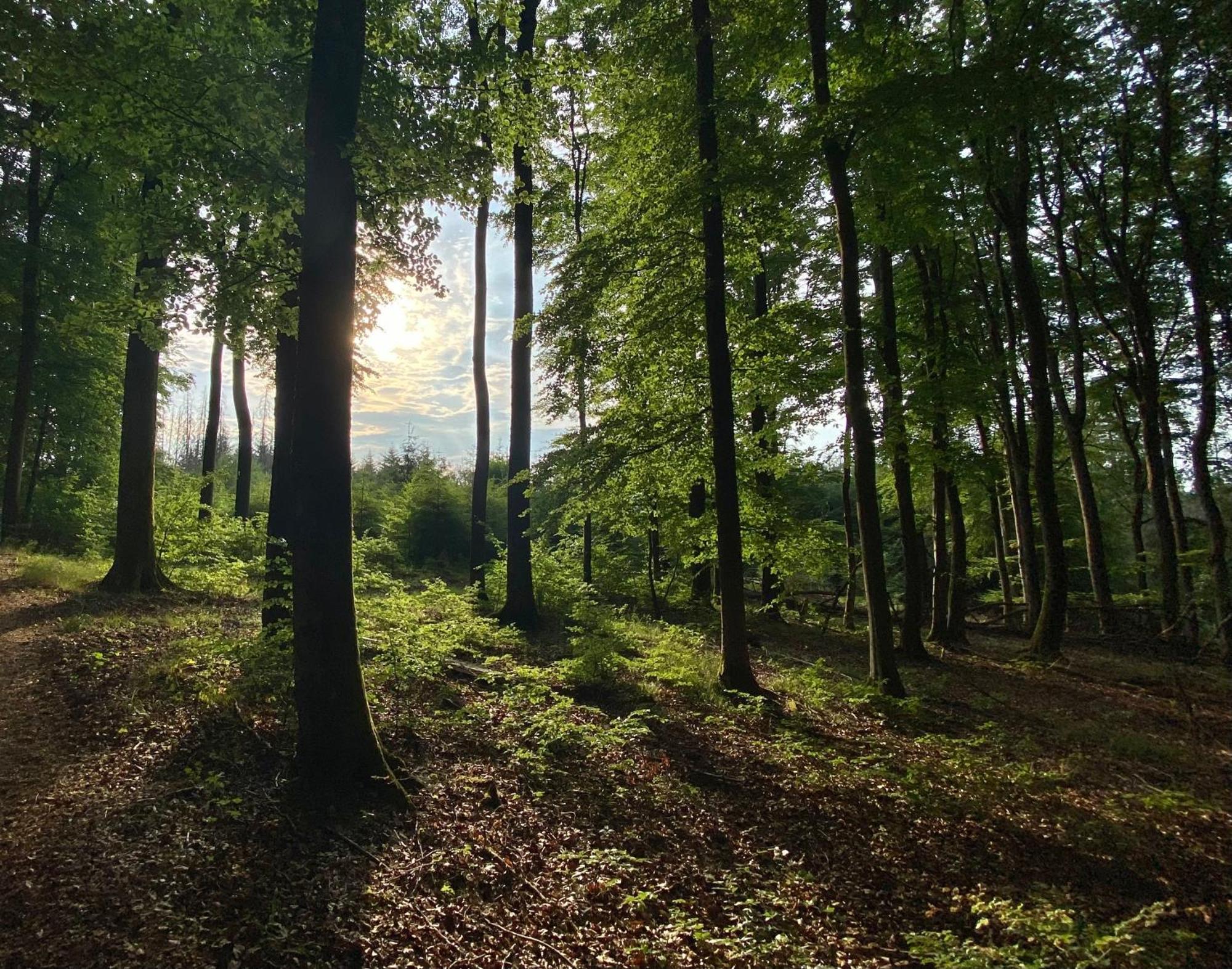 Fruehstueckspension Zur Krone Bad Endbach Kültér fotó